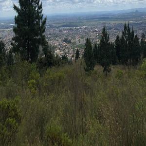 国内外免费性爱视频
